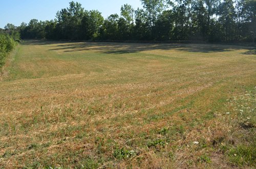 Property photo 2 - 21 Acre Modern Country Estate